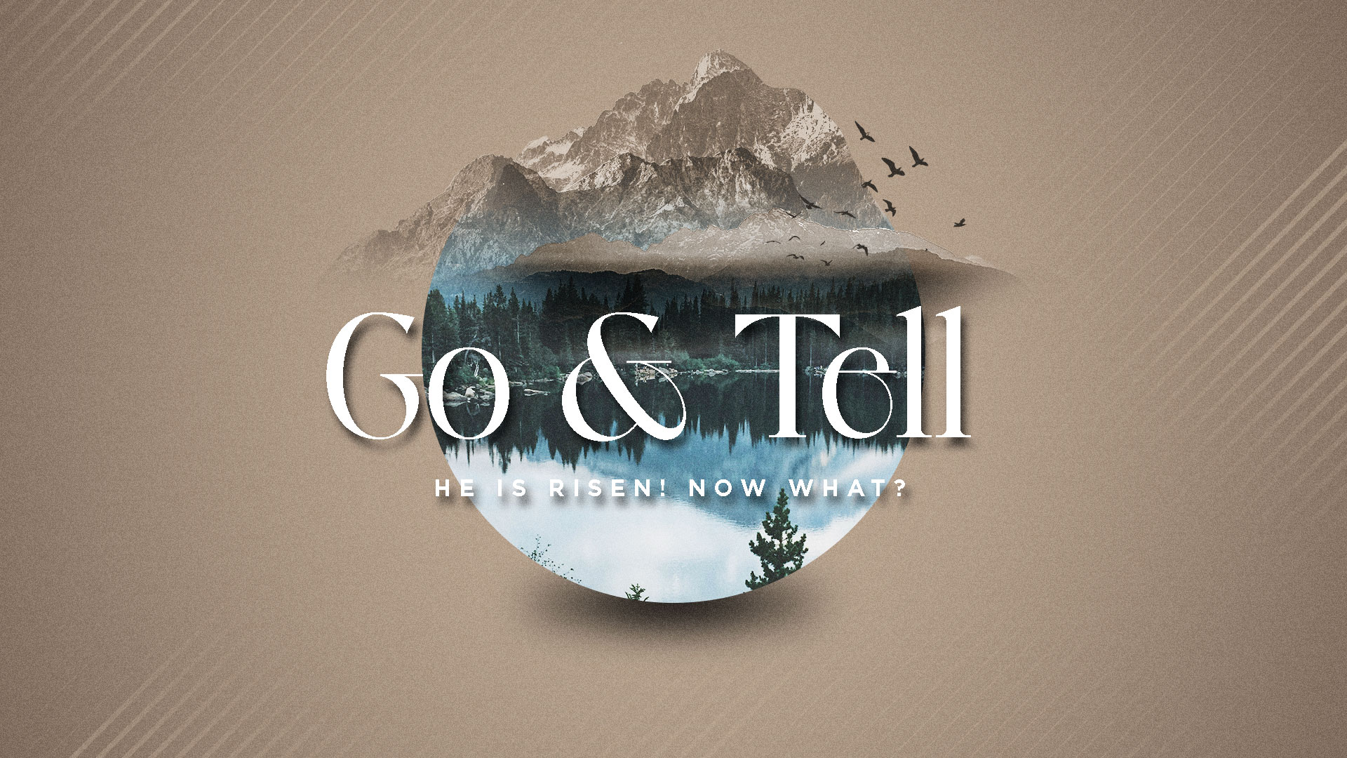  Go & Tell