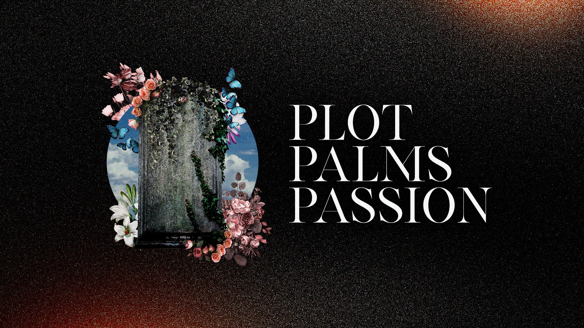    Plot/Palms/Passion